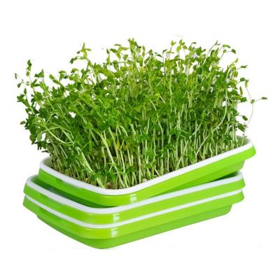 China Home Growing Garden Use Seed Germination Tray , Nursery Seedling Planting Tray for sale