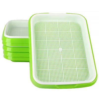 China BPA Material Eco Double Layer Green And White Tray Seed Sprout Plate Hydroponic Nursery Tray With Lid for sale