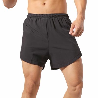 China Hot Sale Gym Summer Quick Dry Men's Sportswear Quick Dry Workout Shorts Workout Shorts for sale