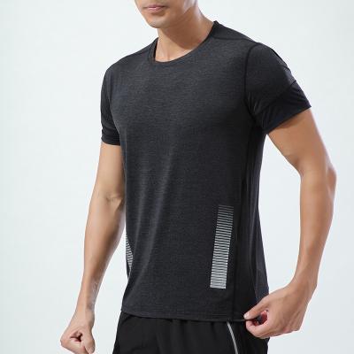 China RTS QUICK DRY Summer Workout Training T-shirts QUICK DRY Sports T-shirt High Quality Quick Dry for sale