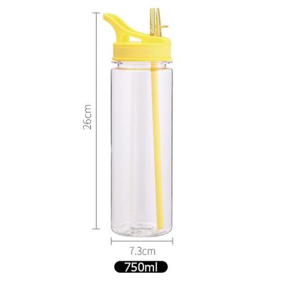 China 750ml Sustainable Sustainable Food Grade Transparent BPA Tritan FREE Hot Water Bottle With Straw for sale