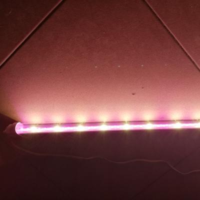 China Seed Starting 24W LED Grow Light Full Spectrum T8 Strawberry DIY Grow Light for sale