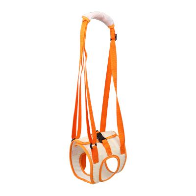 China Custom Pet Cat Assistance Sling Support Polyester Strap With Walking Dog Rear Lift Rear Leg Harness for sale