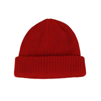 China Wholesale 2021 New COMMON Winter Warm Unisex Knit Fashion Winter Knitted Hat for sale