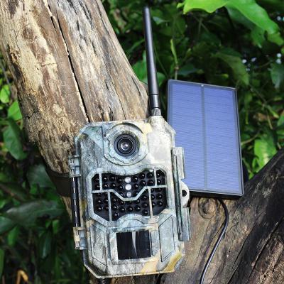 China Support Full HD 20M 1080P 3G Wild Solar Power Game Camera With Portable Solar Panel To Charge 80ft Range 3G Flash Wireless Video Cam for sale