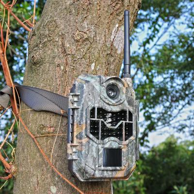 China Customized 20MP 1080P Resolution 2.4 Inch LCD Display 3G GSM Trail Game Camera With Sim Card PH770 3G for sale