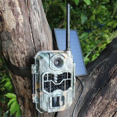 China Support Full HD 20MP 1080P Solar Powered Powered Solar Panel 3G SIM Card IP66 3G Water Resistance Trail Hunting CCTV Camera for sale