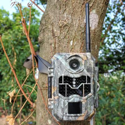 China 3G IP66 Waterproof SMTP Functional 20MP 20MP 1080P PH770 3G IP66 MMS FTP Hunting Trail Camera With Remote Control Shutter for sale