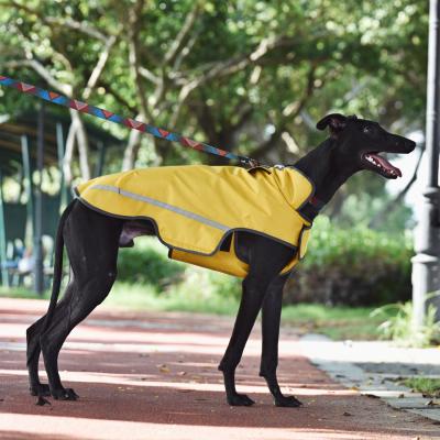 China Sustainable Water Resistant Pet Clothing Summer Dog Clothes Breathable Rain Jacket For Greyhound for sale