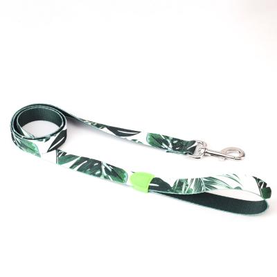 China Bingo&Pogo Rainforest Pattern DETACHED Dog Leash For Walking Dog for sale