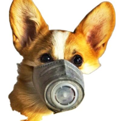 China Sustainable Manufacturer PM2.5 Muzzle Filter T/CTCA 1-2015 Protective Efficacy Facemask For Dogs for sale