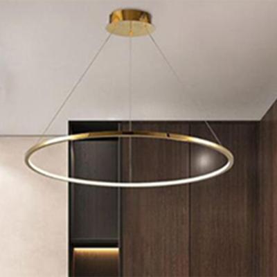 China Modern 300mm Gold Ring Lamp Hanging Light For Home Indoor Pendant Lamp 2 Circles Ring Led Chandelier Lights for sale