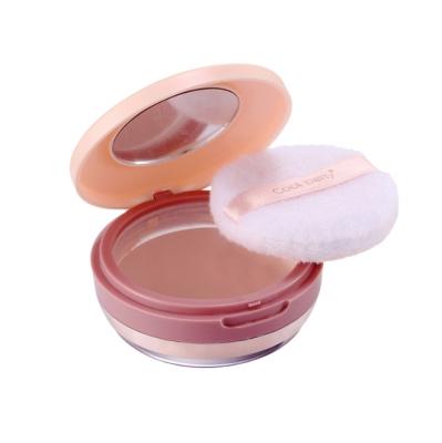 China High Waterproof Pigment Concealer Loose Setting Loose Powder Oil-control Powder for sale