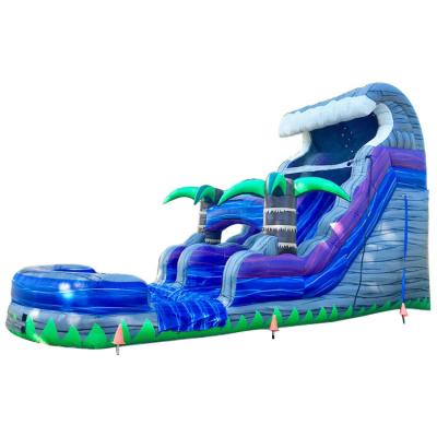 China Inflatable Water Slide Kids Bouncer Jumping Castle The Double Lane Dry Ball Backyard for sale