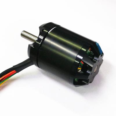 China Dripproof RTS5065 14poles with hall sensor 48v 900w brushless dc electric skateboard motor 900w for sale