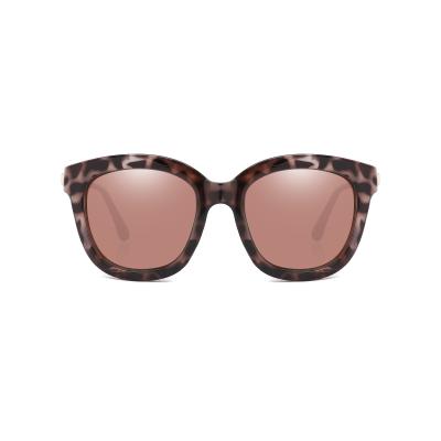 China Oversized Round Fashion Sunglasses 2021 New Fashion Sunglasses For Women Sunglasses Acetate CP Sunglasses for sale