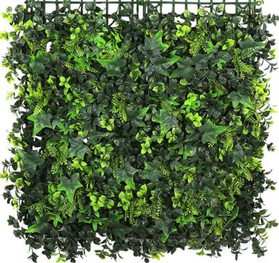 China Eco - Friendly Artificial Boxwood Fence Privacy Screen , Evergreen Hedge Panels False Plant Wall 20