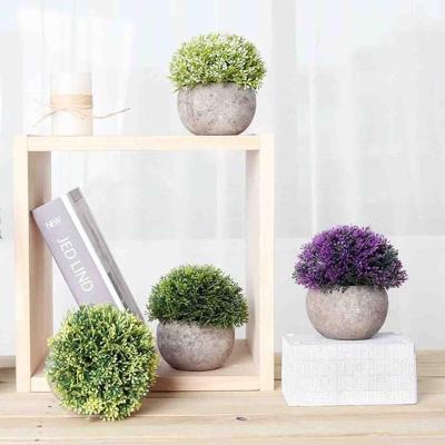 China High Quality Eco - Friendly Small Potted Plants Decorative Plastic Plant Pots for sale