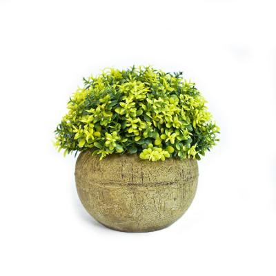 China Small Plastic Plant Artificial Potted Plant Bonsai Eco - Friendly For Home Decor for sale