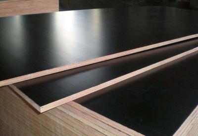 China Black Color Phenolic Film Faced Plywood 12mm - 18mm Thickness Environmental Friendly for sale