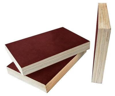 China Brown Film Faced Plywood 8 - 12% Moisture Content Easy Work International Quality for sale