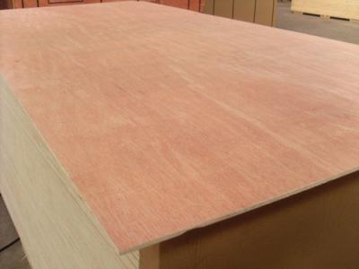 China Poplar Core Commercial Plywood Bintangor B/BB Face 2 Time Hot Press Processing for sale