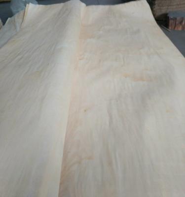 China B - Chapa de madera natural del grado de E chapa del abedul blanco del grueso de 0,2 - de 0.5m m en venta