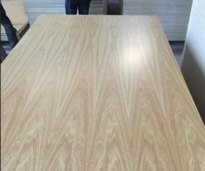 China Non Pollution UV Coated Plywood 1220x2440mm / Size FSC Certification HODA for sale