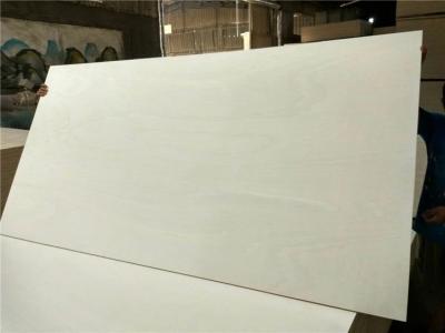 China La madera contrachapada blanqueada de los muebles del álamo cubre la contaminación del grueso de 1,8 - de 30m m no en venta