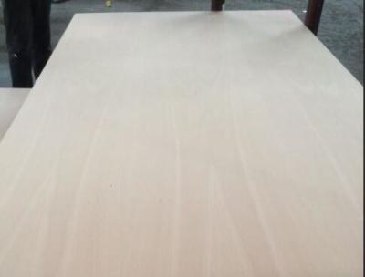 China Thickness 2.5 - 25mm Fancy Plywood P/S Cut Euro Beech Plywood FSC Assured for sale