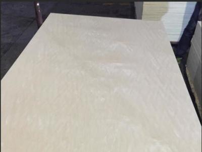 China Materias primas amistosas de Eco del arce de la suposición R/S del tamaño blanco de la madera contrachapada 1220x2440m m en venta