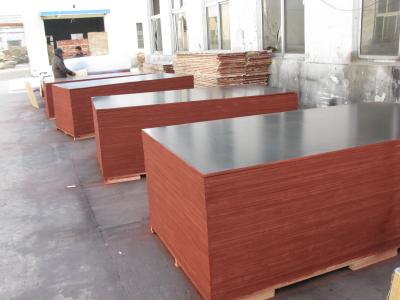 China Film Faced Decorative Plywood Sheets 2 Times Hot Press High Strength Design for sale