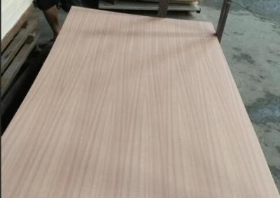 China El tamaño de lujo amistoso P/S Sapele natural de la madera contrachapada 1220x2440m m de Eco hace frente/trasero en venta