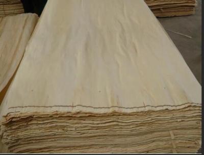 China Baltic White Birch Natural Wood Veneer 2500*1270mm Size With Nice Surface for sale