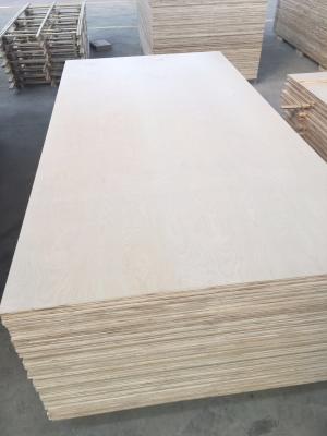 China madera contrachapada del abedul blanco del grado del gabinete de 1220*2440m m, álamo/base del eucalipto en venta