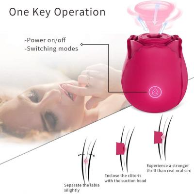 China Woman Clitoris And Nipple Sucking Sex Toy Nipple Suction Vibrator For Female for sale