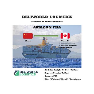 China Free 7 Day FBA Canada Drop Shipping Service Cheap FBA Ddp Ddu Sea Freight From China To USA Shipping Consolidation Service Fcl Lcl for sale