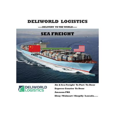 China Customers FCL LCL High Speed ​​Ocean Freight 7 Days Free High Speed ​​From China To Mexico To Door To Port With DDU DDP DAP FOB EXW for sale