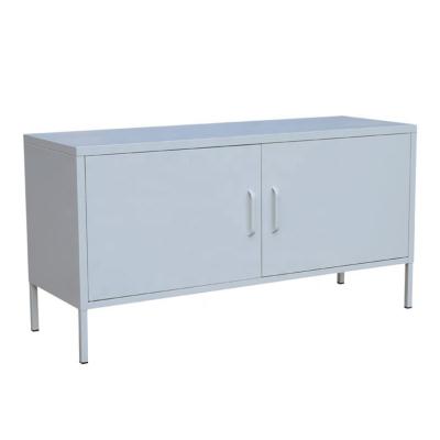 China Steel Rush 2 Swing Doors Storage Cabinet for sale