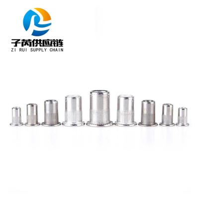 China General Industry Wholesale Threaded Inserts Rivet Nut Stainless Steel Pop Rivet Flat Head Aluminum Closed Nut for sale