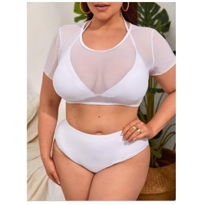 China Xxxxl plus size plus size swimwear bikini for big women swimwear big brazilian bikini women trajes de bano for sale