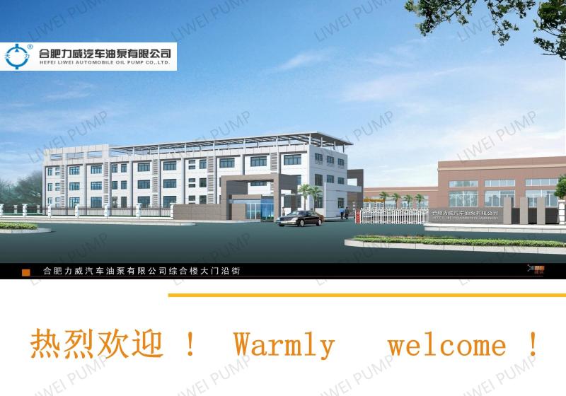 Verified China supplier - Hefei Liwei Automobile Oil Pump Co., Ltd