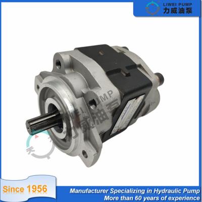 China Hydraulische Hochdruckzahnradpumpe Liwei GPM 67110-N3070-71 zu verkaufen