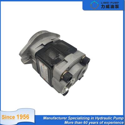 China Bomba hidráulica 91E71-10200 da empilhadeira de LIWEI para FD20-30 (F18C/CF18C/F14E/CF14E) /S4S à venda