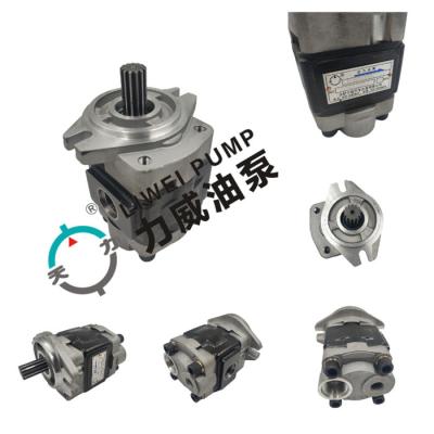 China Bidirektionales Gang-Gabelstapler-Hydraulikpumpe 91E71-10200 ODM zu verkaufen