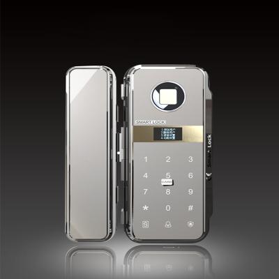 China Office Door Fingerprint Glass Lock for sale