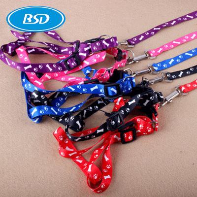 China Popular Recycled Pet Collar Recycled Pet webbing with Adjustable Buckle Pet Collar for Dog for sale