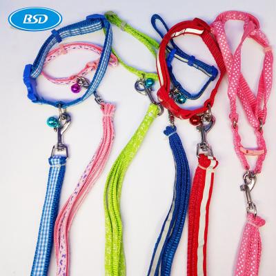 China Retractable Running Dog Pet Collar Leash Belt Webbing With Jacquard And Reflective Effect Te koop