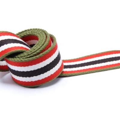 China OEM ODM high saleLow Price special colorful dog leash polyester cotton logo webbing Te koop