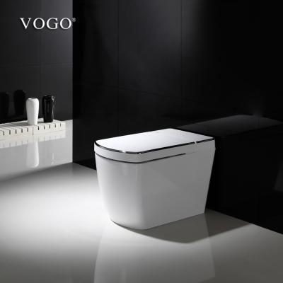 China Bidet One-piece Intelligent Electronic Toilet Cistern VOGO Hot Hidden Toilet Seat Cover SL620D for sale